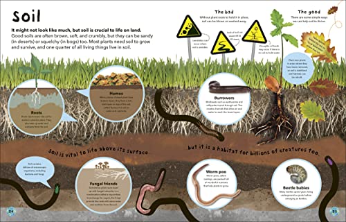 It's a Wonderful World: How to Protect the Planet and Change the Future - Retail Maharaj