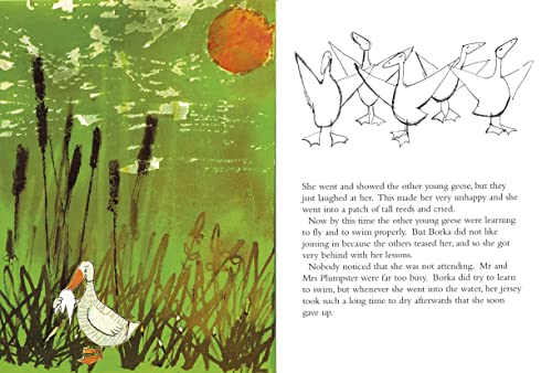 Borka: The Adventures of a Goose With No Feathers - Retail Maharaj