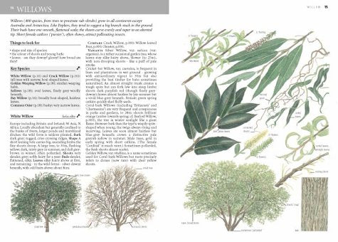 Collins Tree Guide: Domestic Life from Childbirth to Deathbed - Retail Maharaj