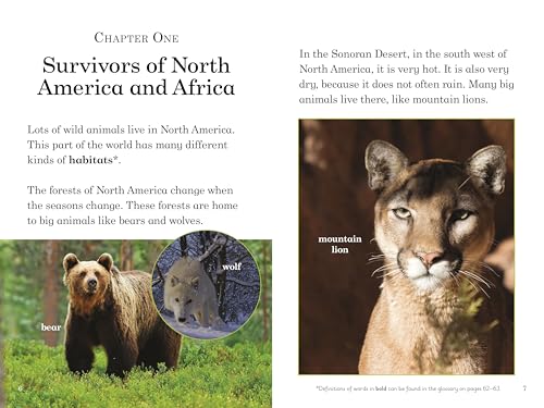 Ladybird Readers Level 5 BBC Earth Little Survivors - Retail Maharaj