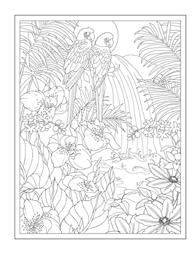 Creative Haven Tropical Wonders Coloring Book