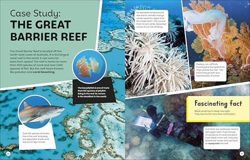 DK Super Planet Essential Ecosystems - Retail Maharaj