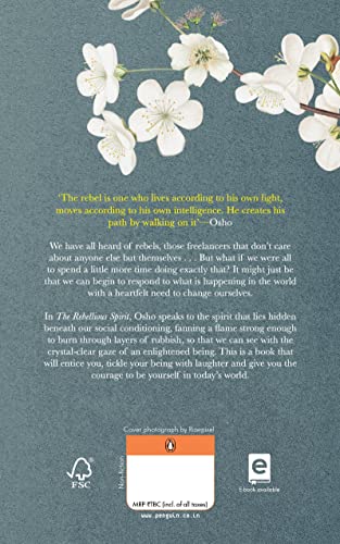 The Rebellious Spirit - Retail Maharaj