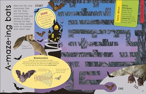 The Fact-Packed Activity Book: Animals - Retail Maharaj