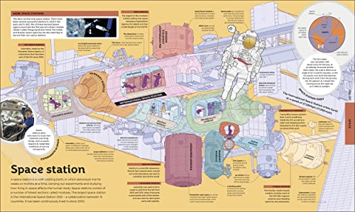 How Everything Works: From Brain Cells to Black Holes - Retail Maharaj