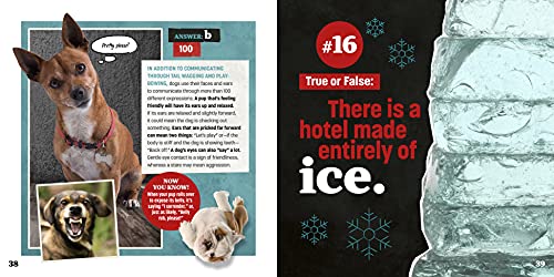 Totally Random Questions Volume 2: 101 Odd and Awesome Q&As