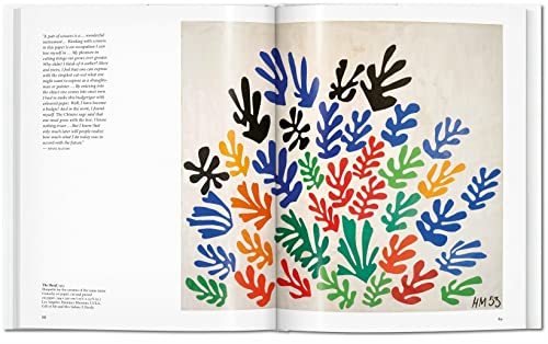 Matisse Cut-outs - Retail Maharaj