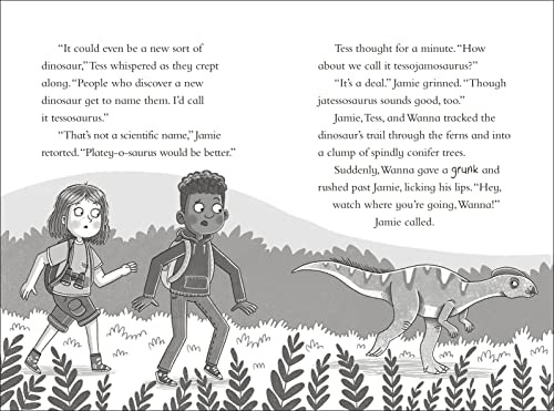 Dinosaur Club: Saving the Stegosaurus - Retail Maharaj