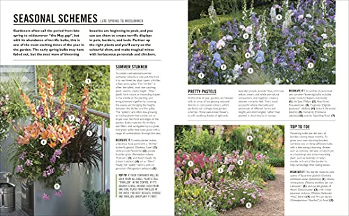 Grow Bulbs: Essential Know-how and Expert Advice for Gardening Success - Retail Maharaj