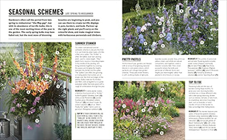 Grow Bulbs: Essential Know-how and Expert Advice for Gardening Success - Retail Maharaj