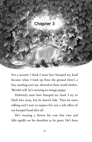 The Last Firefox - Retail Maharaj