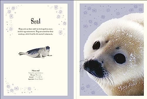 An Anthology of Intriguing Animals Poster Book: With More Than 30 Reversible Tear-Out Posters - Retail Maharaj