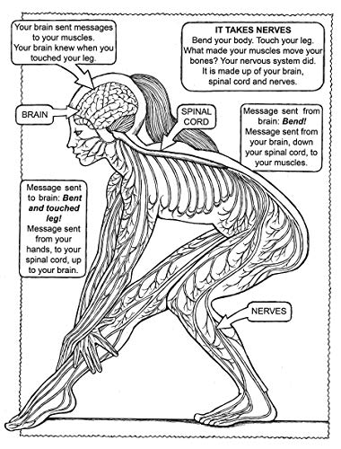 My First Human Body Book