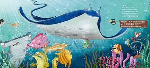 Wild Symphony - Retail Maharaj