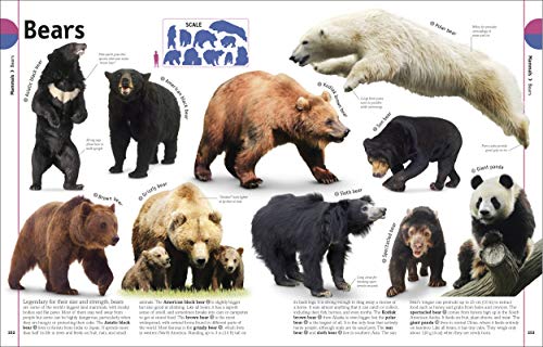 THE ANIMAL BOOK - Retail Maharaj