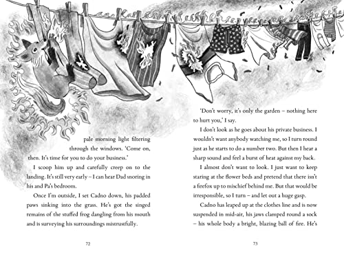 The Last Firefox - Retail Maharaj