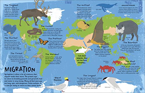 The Magic of Seasons: A Fascinating Guide to Seasons Around the World - Retail Maharaj