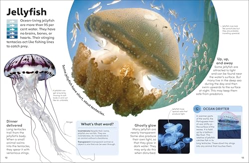 Eyewonder Oceans: Open Your Eyes to a World of Discovery - Retail Maharaj