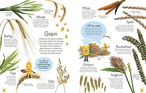 The Best Ever Bread Book: From Farm to Flour Mill, Recipes from Around the World (DK's Best Ever Cook Books) - Retail Maharaj