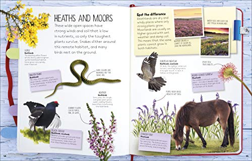 Nature Spotter - Retail Maharaj