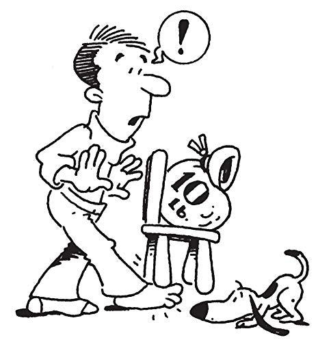 What Einstein Didn't Know: Scientific Answers to Everyday Questions - Retail Maharaj