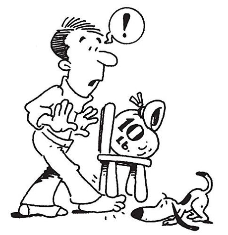 What Einstein Didn't Know: Scientific Answers to Everyday Questions - Retail Maharaj