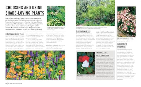 Grow Shade Garden: Essential Know-how and Expert Advice for Gardening Success - Retail Maharaj