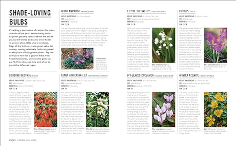 Grow Shade Garden: Essential Know-how and Expert Advice for Gardening Success - Retail Maharaj