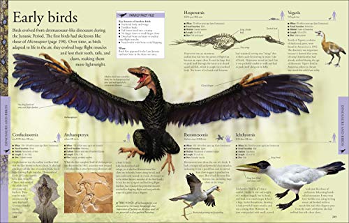Dinosaurs A Children's Encyclopedia - Retail Maharaj