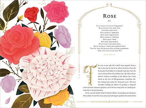 The Language of Flowers - Retail Maharaj