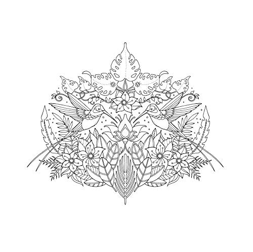 Magical Jungle: An Inky Expedition & Colouring Book - Retail Maharaj