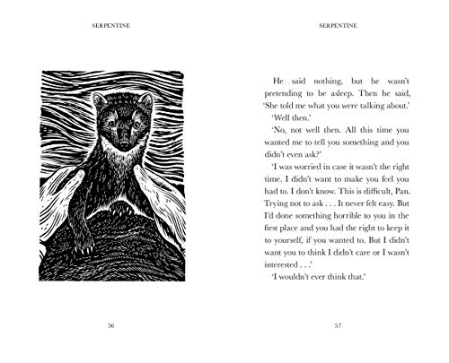 Serpentine - Retail Maharaj