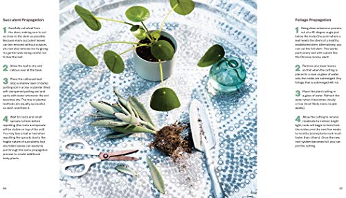 House Planted: Choosing, Growing, and Styling the Perfect Plants for Your Space