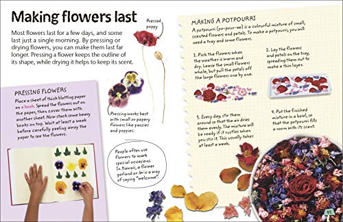 Flowers: Explore Nature with Fun Facts and Activities (Nature Explorers) - Retail Maharaj