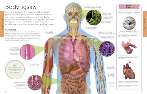 Human Body A Children's Encyclopedia - Retail Maharaj