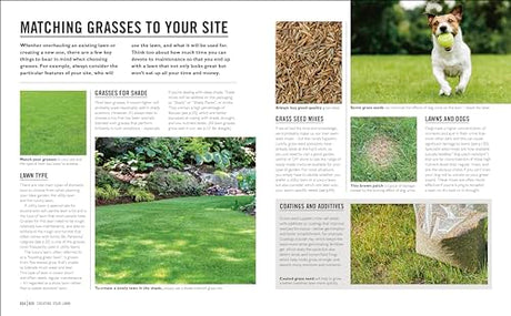 Grow Lawns: Essential Know-how and Expert Advice for Gardening Success - Retail Maharaj