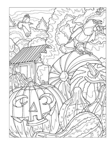 Creative Haven Autumn Inspirations Color by Number