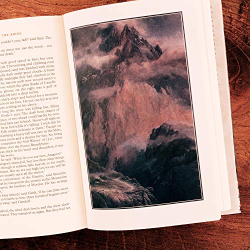 The Fellowship Of The Ring Âillustrated Editionã - Retail Maharaj