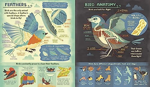 What's Inside A Bird's Nest?: And Other Questions About Nature & Life Cycles