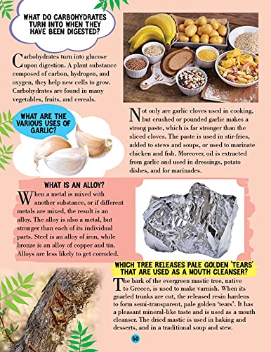 Nature Encyclopedia for Children Age 5 - 15 Years- All About Trivia Questions and Answers - Retail Maharaj