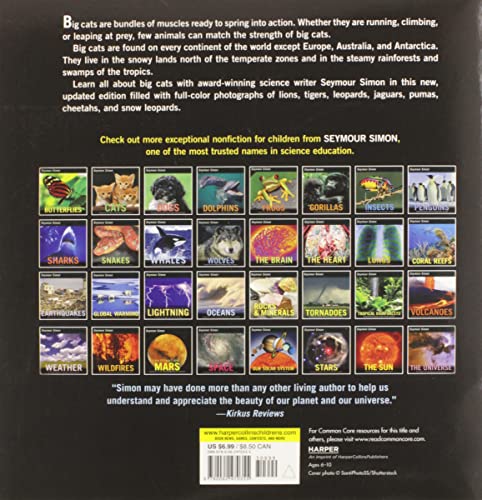 BIG CATS - Retail Maharaj