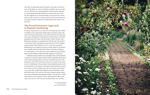 Fruit Trees for Every Garden: An Organic Approach to Growing Apples, Pears, Peaches, Plums, Citrus, and More