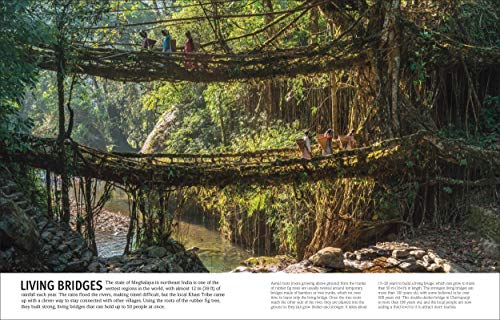 Trees, Leaves, Flowers & Seeds - Retail Maharaj