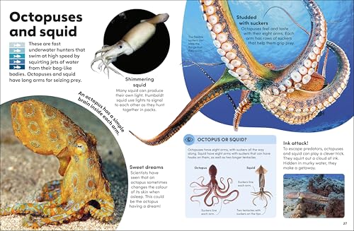 Eyewonder Oceans: Open Your Eyes to a World of Discovery - Retail Maharaj