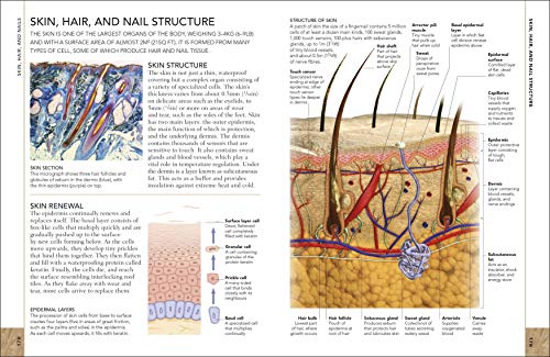 The Concise Human Body Book - Retail Maharaj