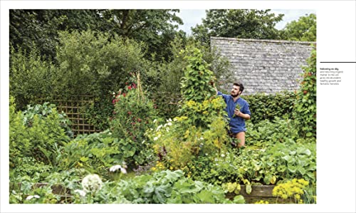 The Vegetable Grower's Handbook: Unearth Your Garden's Full Potential - Retail Maharaj