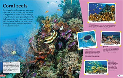 DKfindout! Oceans - Retail Maharaj