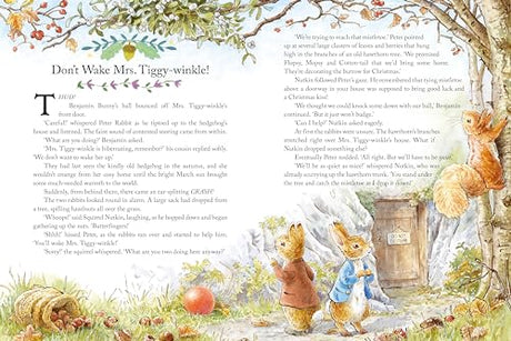 Peter Rabbit: Tales for Bedtime - Retail Maharaj