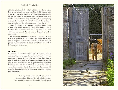 Down to Earth - Retail Maharaj