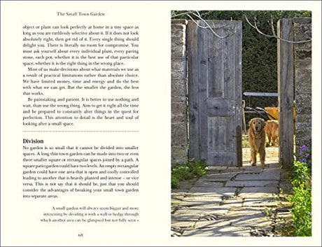 Down to Earth - Retail Maharaj